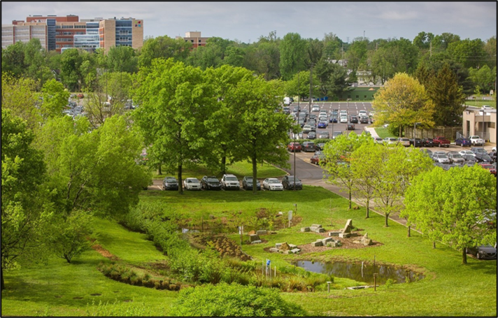 farm rd rain garden