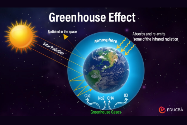 greenhouse effect graphic