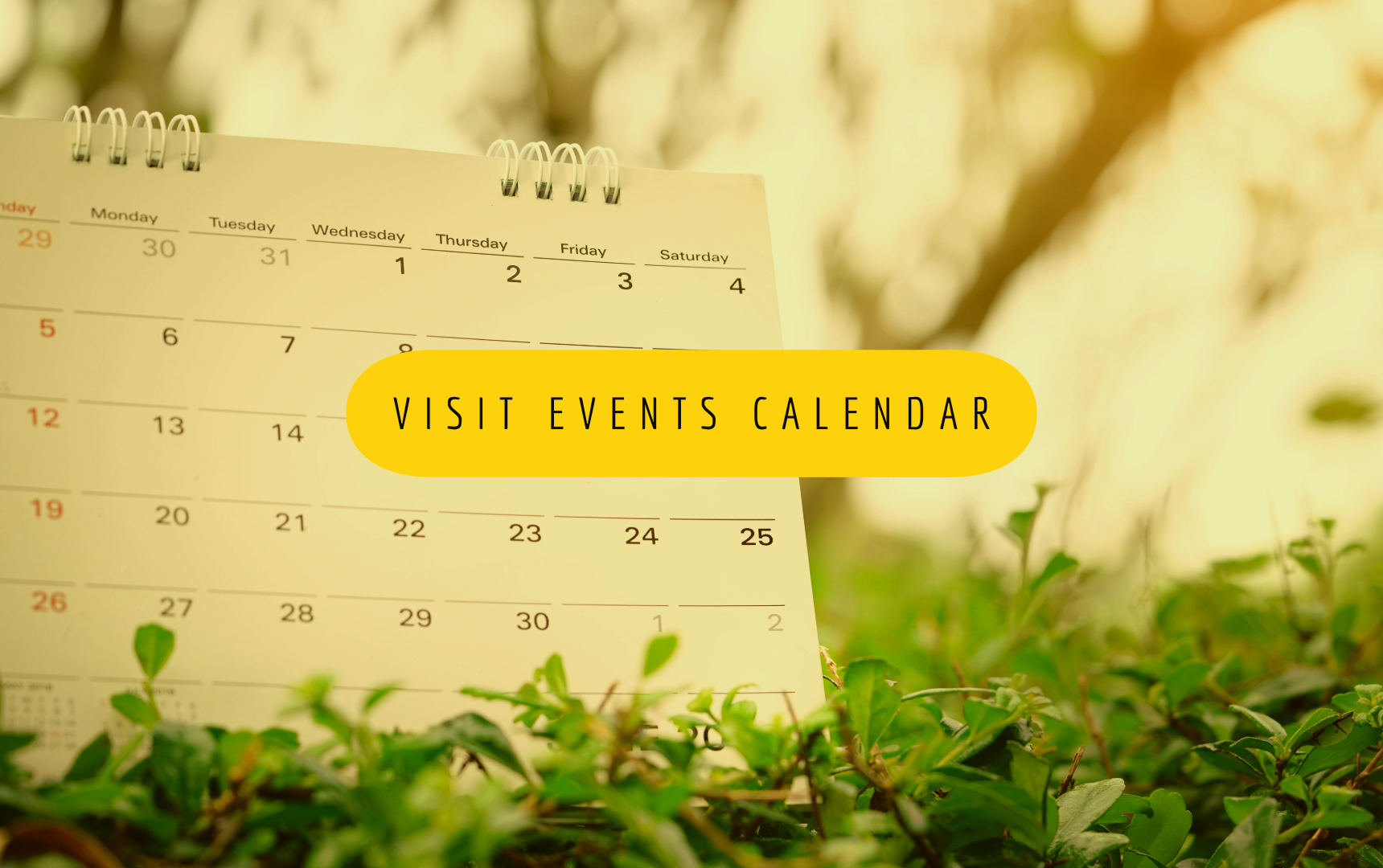 https://soilandwater.ca.uky.edu/events
