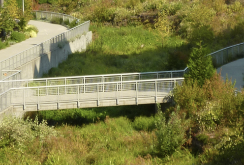 A pedestrian bridge crossing over a grassy area, surrounded by various plants and trees, with a winding pathway visible in the background.