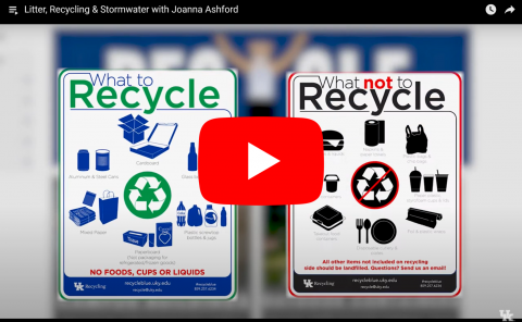 Litter, Recycling and Stormwater