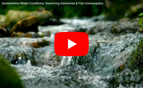 Swimming Advisory YouTube image 