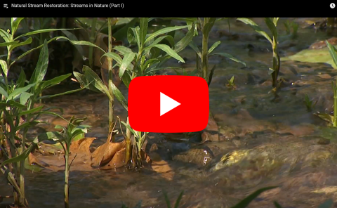 Natural Stream Restoration: Streams in Nature (Part I)