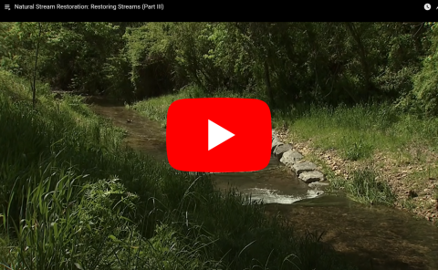 Natural Stream Restoration: Restoring Streams (Part III)
