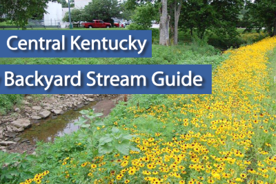 Central KY Backyard Stream Guide