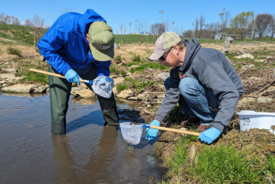 citizen science